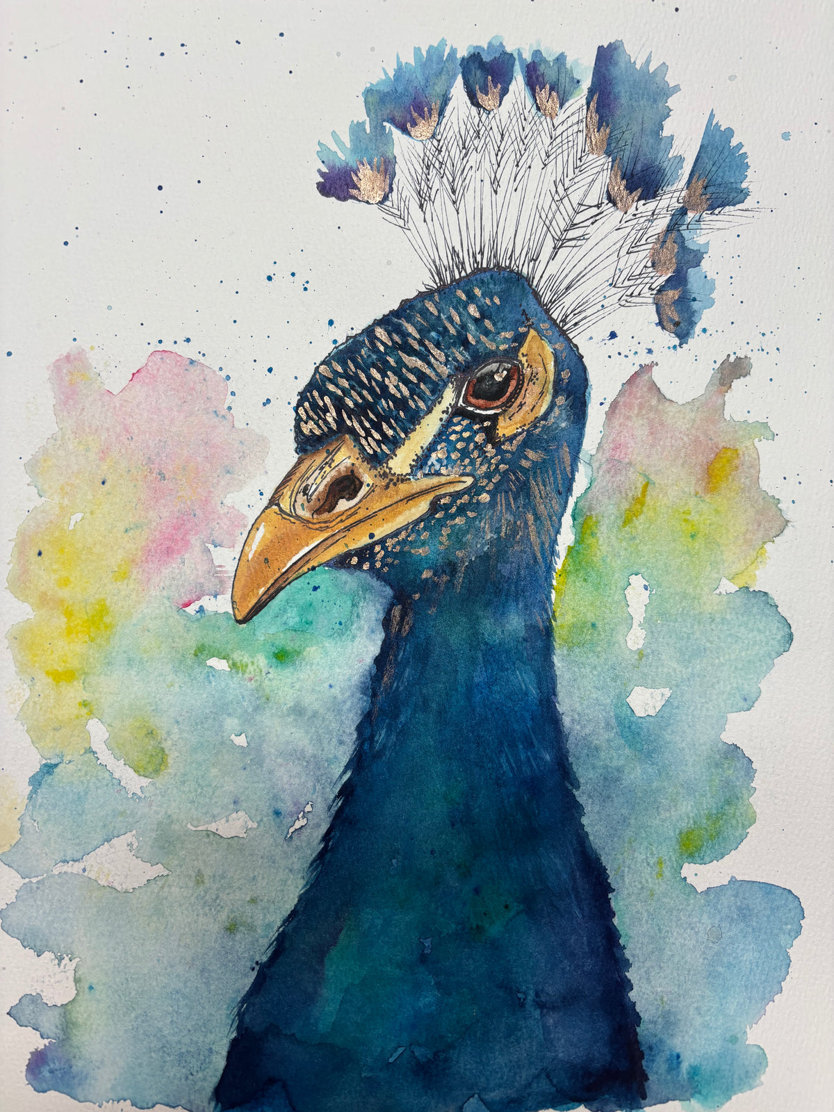 Peacock Head
