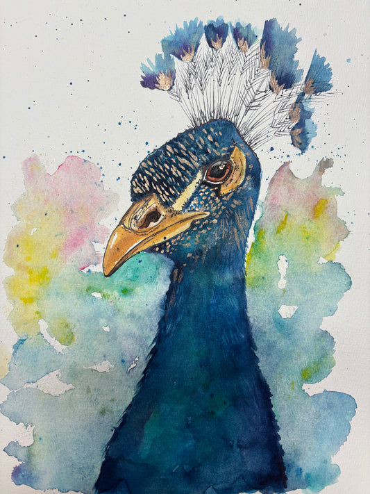 Peacock Head