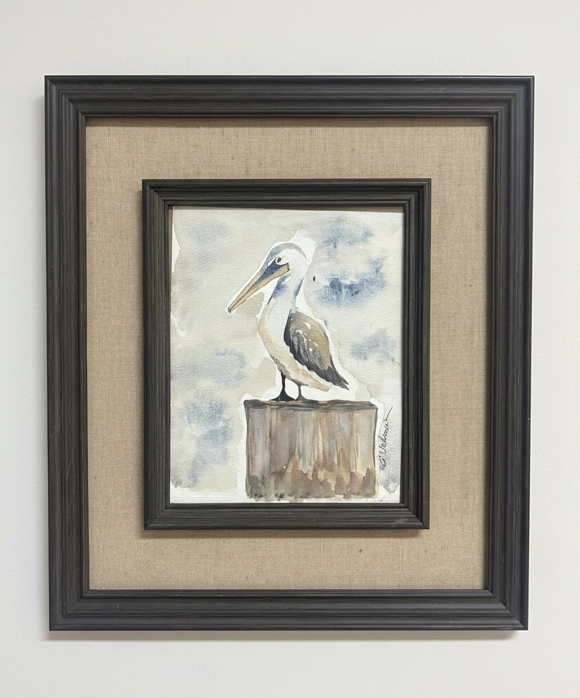 Pelican